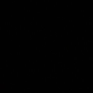 Meet your Posher, Keily